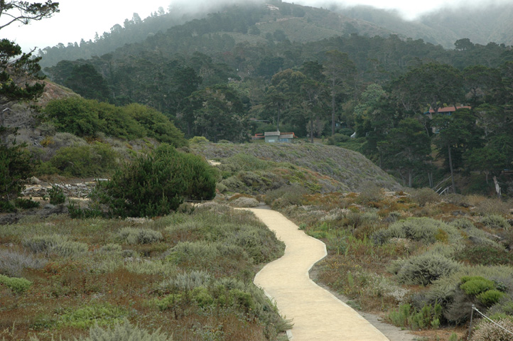 Point Lobos 068.jpg